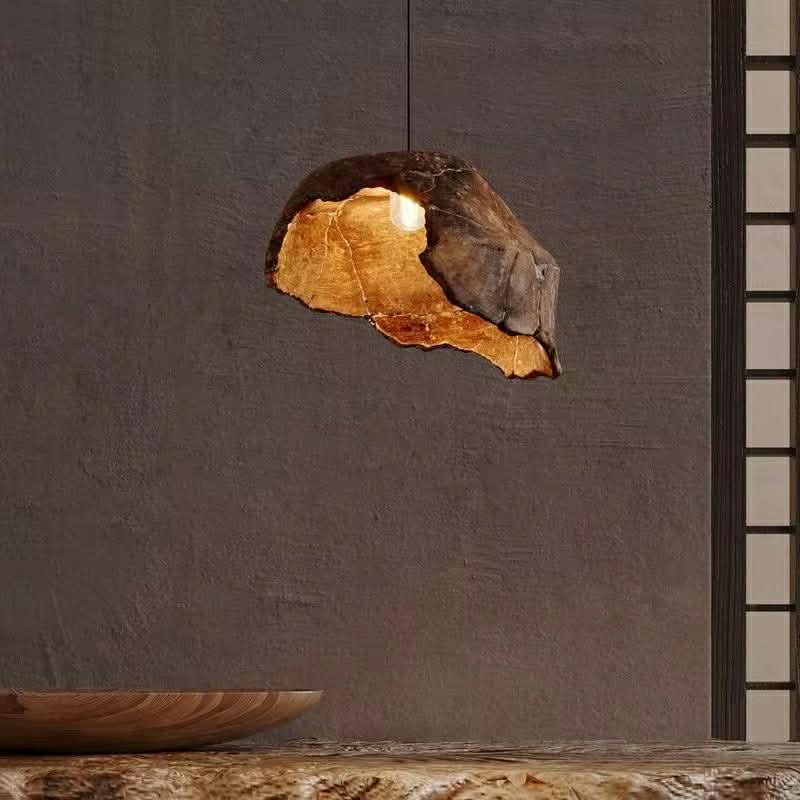 Unique Natural Shell Pendant Lamp